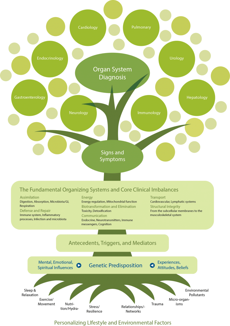 Conventional And Functional Medicine What’s The Difference