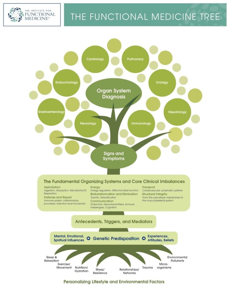 Functional Medicine Tree