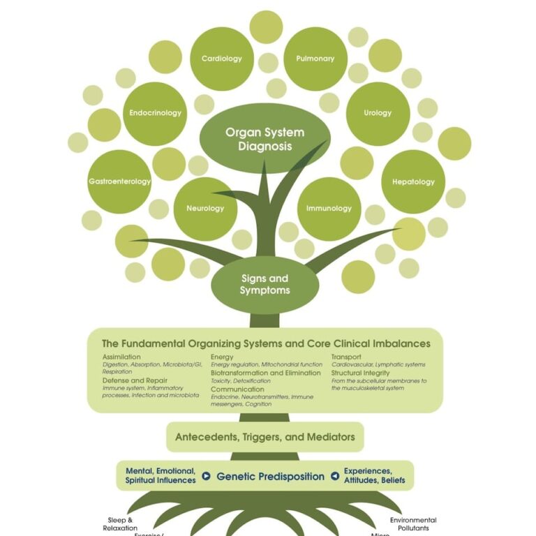 Functional Medicine Tree