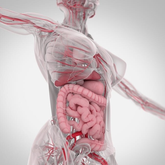 Understanding Leaky Gut Syndrome