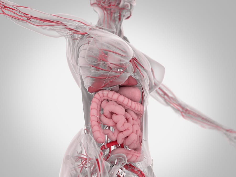 Understanding Leaky Gut Syndrome