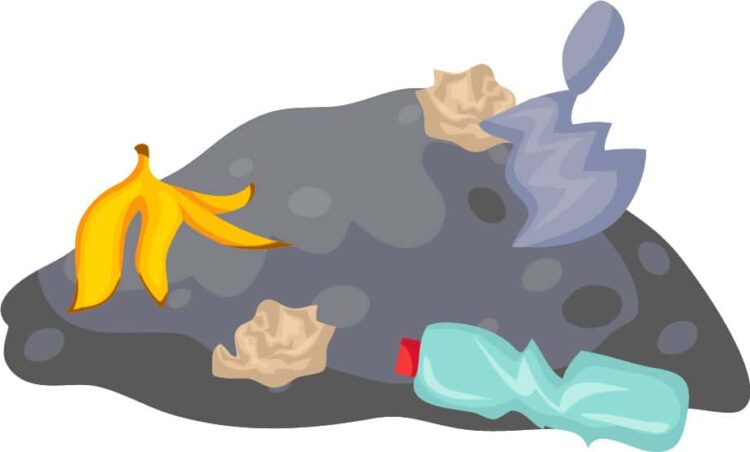 Standard American Diet