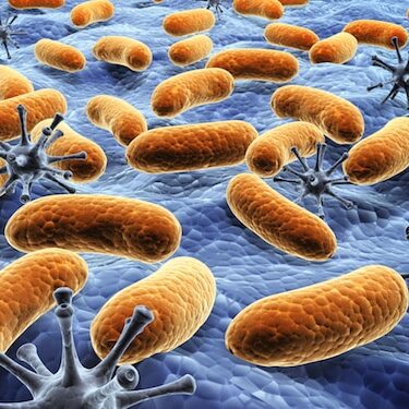 Small image of Mutating bacteria and viruses