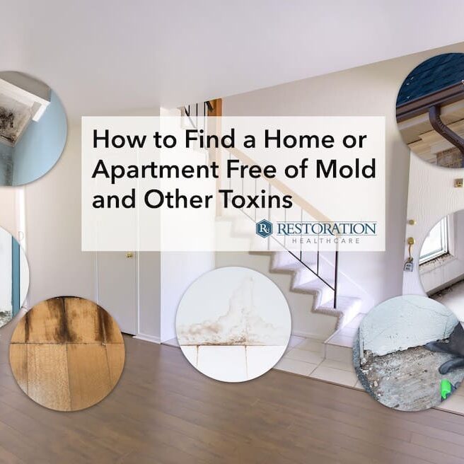 How to Find a Home or Apartment Free of Mold and Other Toxins