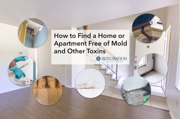 How to Find a Home or Apartment Free of Mold and Other Toxins