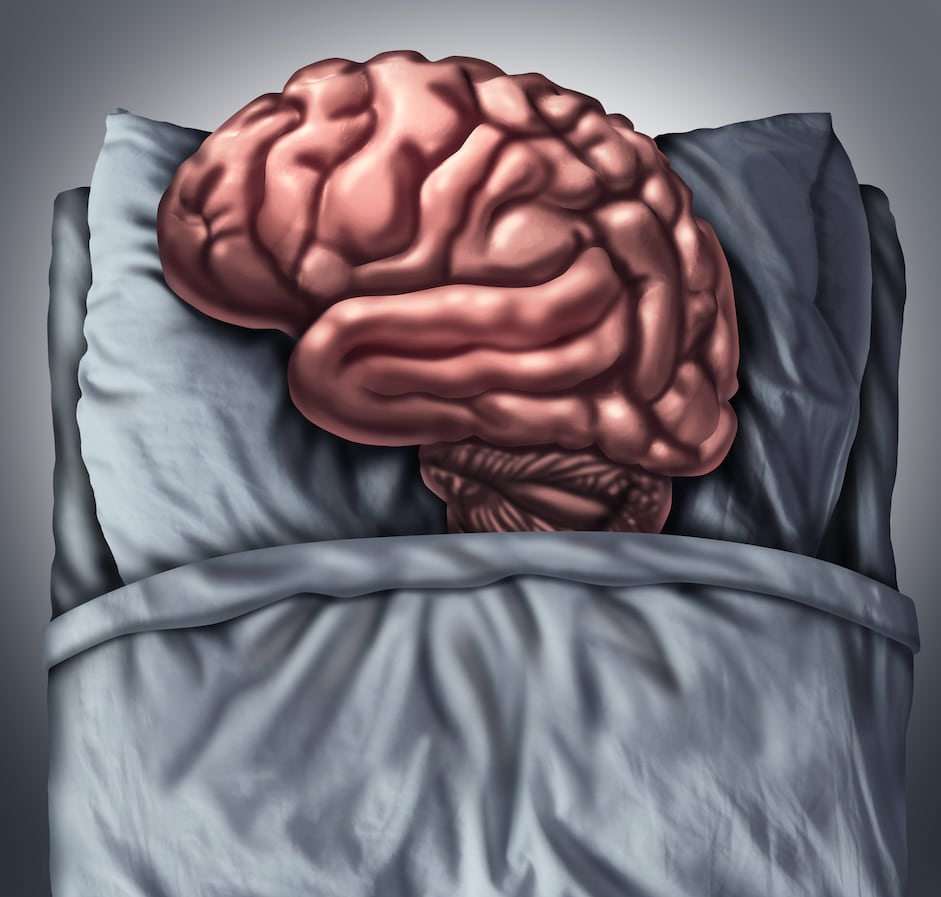 Brain Sleep