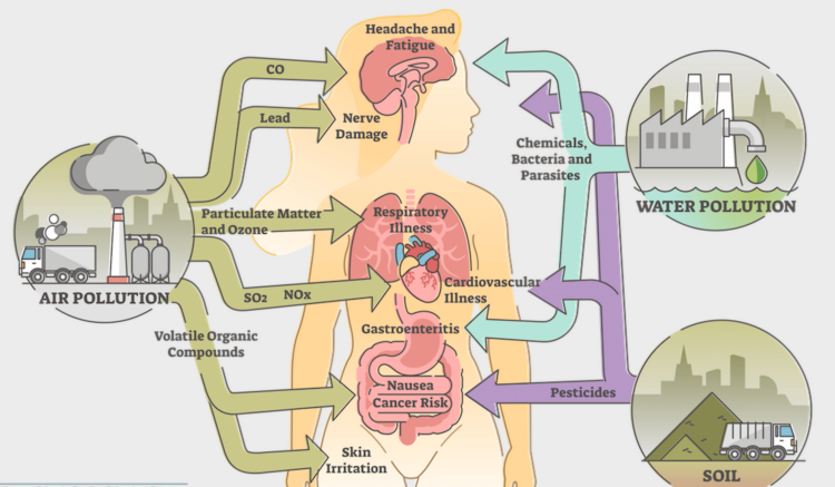Treating Environmentally Acquired Illness at Restoration Healthcare