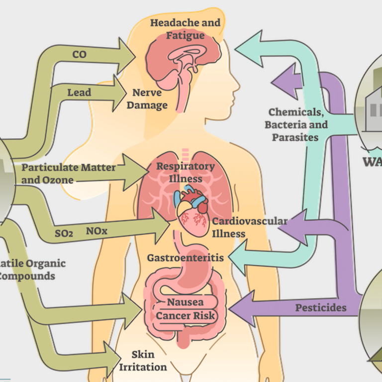Treating Environmentally Acquired Illness at Restoration Healthcare