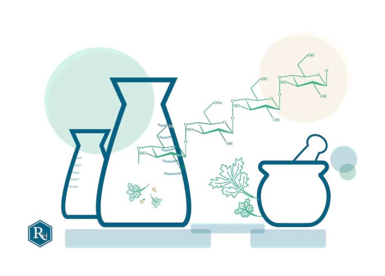 Understanding the Role of Toxin Binders in the Detox Process