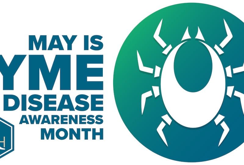 Lyme Disease Awareness Month