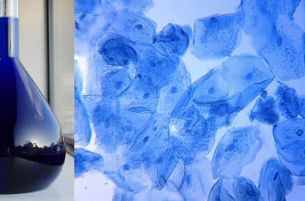 Methylene Blue