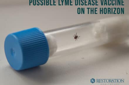 Lyme Disease Vaccine Photo