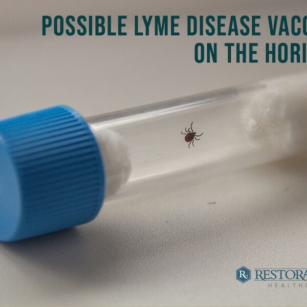 Possible Lyme Disease Vaccine on the Horizon
