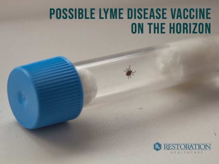 Possible Lyme Disease Vaccine on the Horizon
