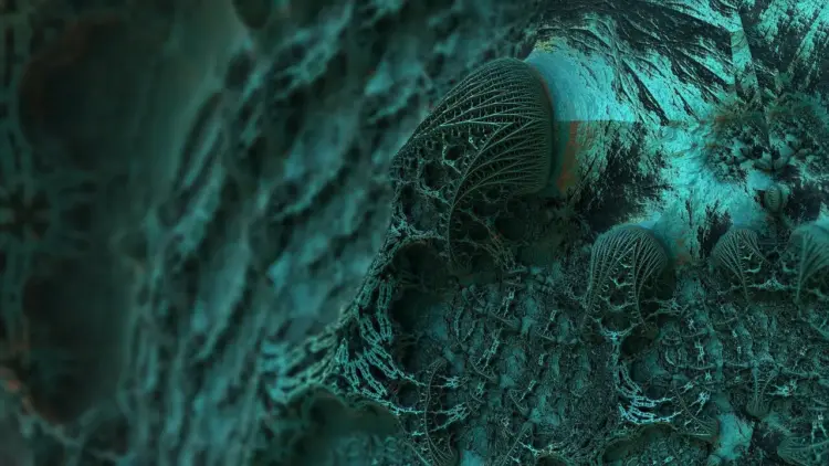 Illness from Mold and Mycotoxins