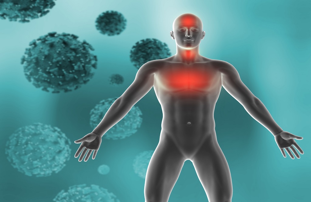 What Triggers the Immune System to Attack the Body