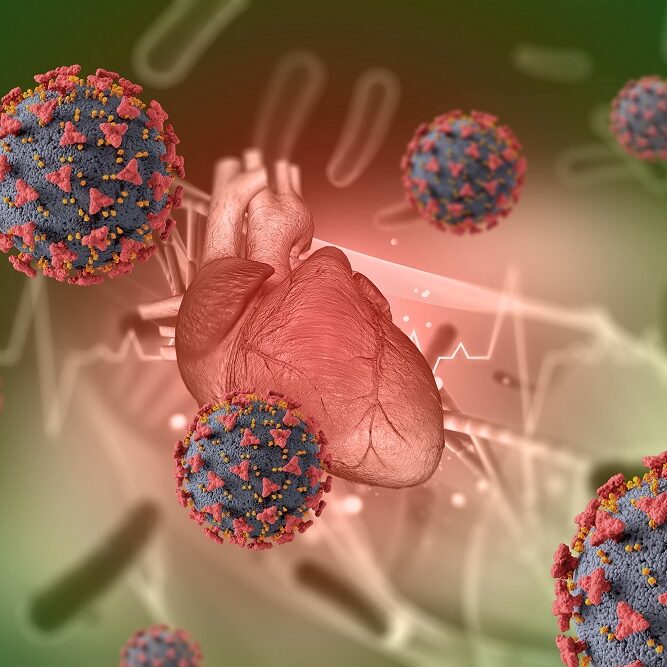 Unraveling Autoimmune Diseases: What Triggers the Immune System to Attack the Body