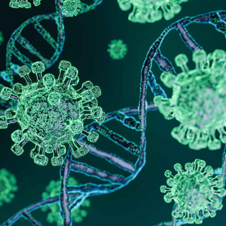 What Are Mycotoxins?